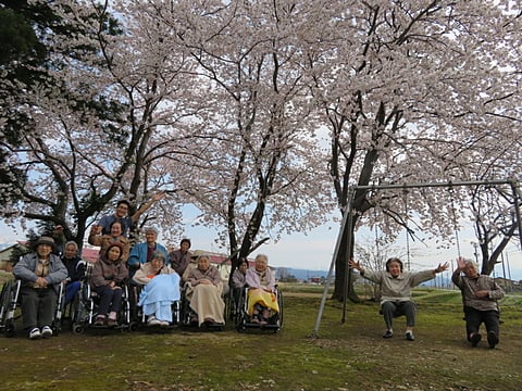近所の薮野神社の桜です